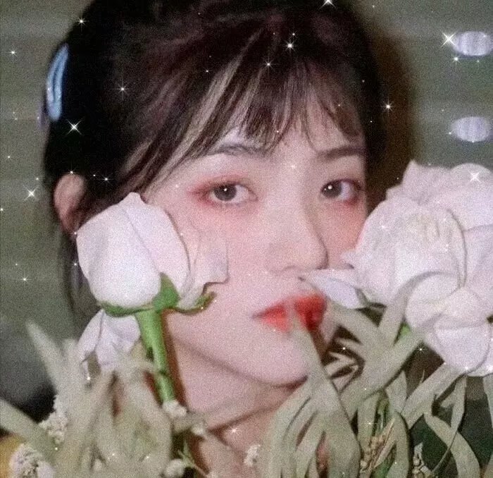 尸咒